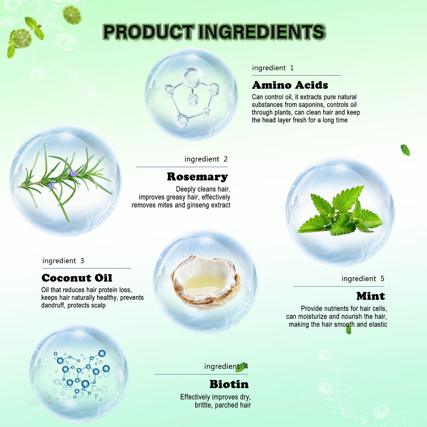 Rosemary Hair Repair Shampoo