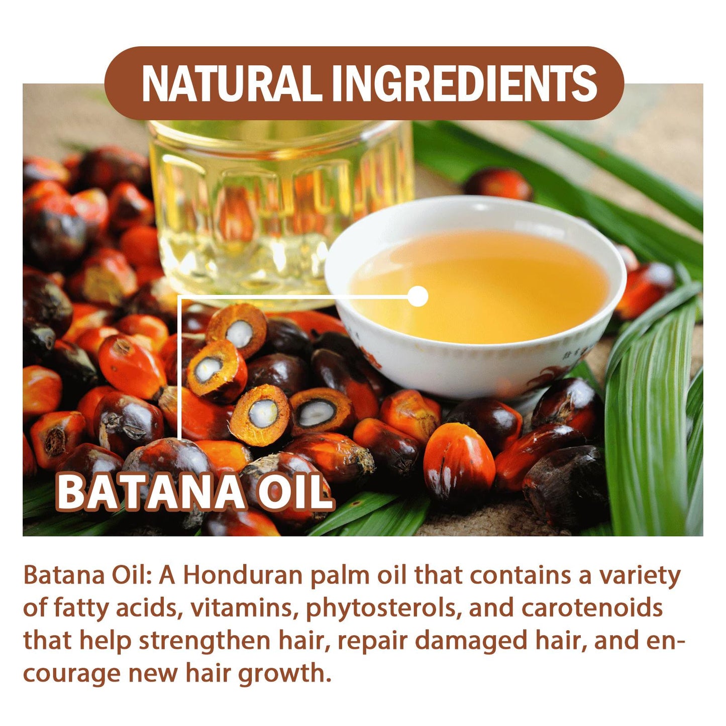 Batana Oil From Honduras - Get Fuller, Thicker, Healthier Hair